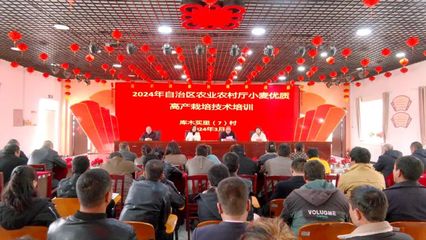 新疆新農(nóng)人丨拜城:農(nóng)技培訓(xùn)到地頭 穩(wěn)糧增產(chǎn)促增收