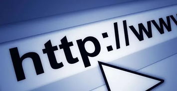 金華網(wǎng)絡(luò)公司 網(wǎng)站建設(shè)與全網(wǎng)營(yíng)銷系統(tǒng)技術(shù)推廣指南