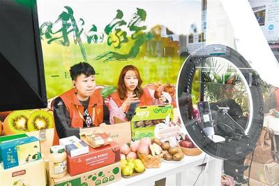 農(nóng)高會西安展團(tuán)捷報(bào)頻傳 項(xiàng)目簽約與農(nóng)副產(chǎn)品銷售雙豐收