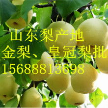 山東莒縣農(nóng)副產(chǎn)品購銷處 深耕綠色源頭，傳遞健康滋味